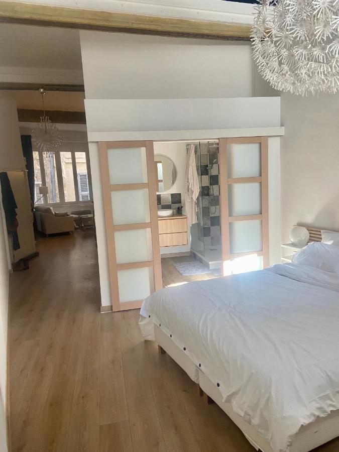 Loft Hyper Centre Apartment Avignon