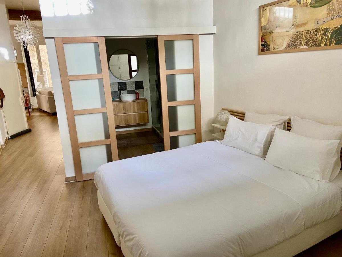 Apartment Loft Hyper Centre Avignon